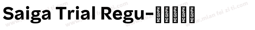 Saiga Trial Regu字体转换